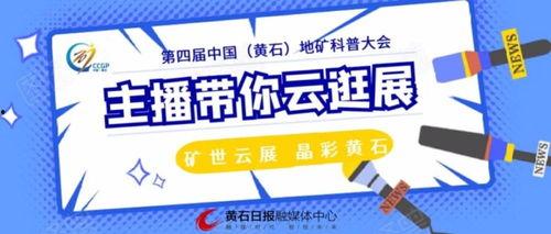 黄石最新爆料,揭秘神秘事件背后的惊人真相  第2张